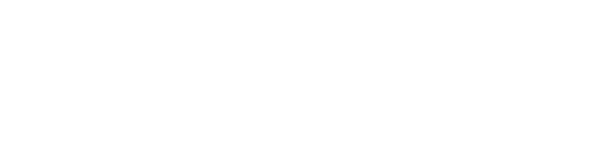 ris-logo-horizontal-white